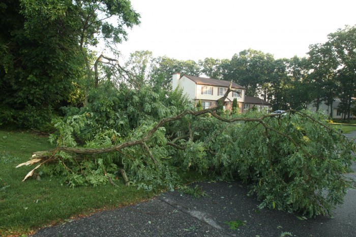 Storm damage